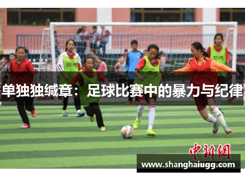 单独独缄章：足球比赛中的暴力与纪律